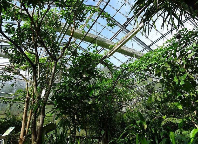 National Botanical Conservatory of Brest, Brest, France, France